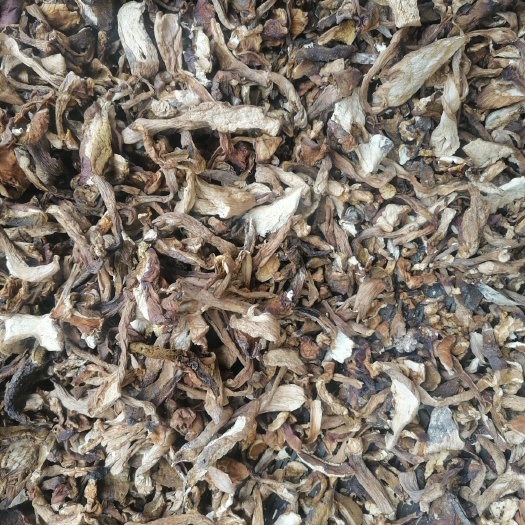 大理市美味牛肝菌 干牛肝菌