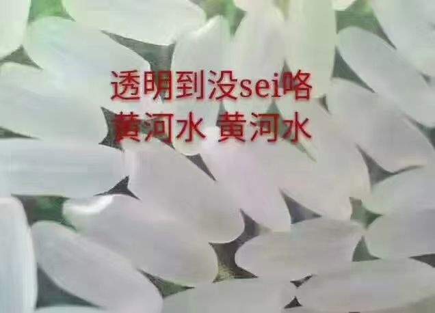 原阳县 原阳大米黄河水灌浇，口感好哦
