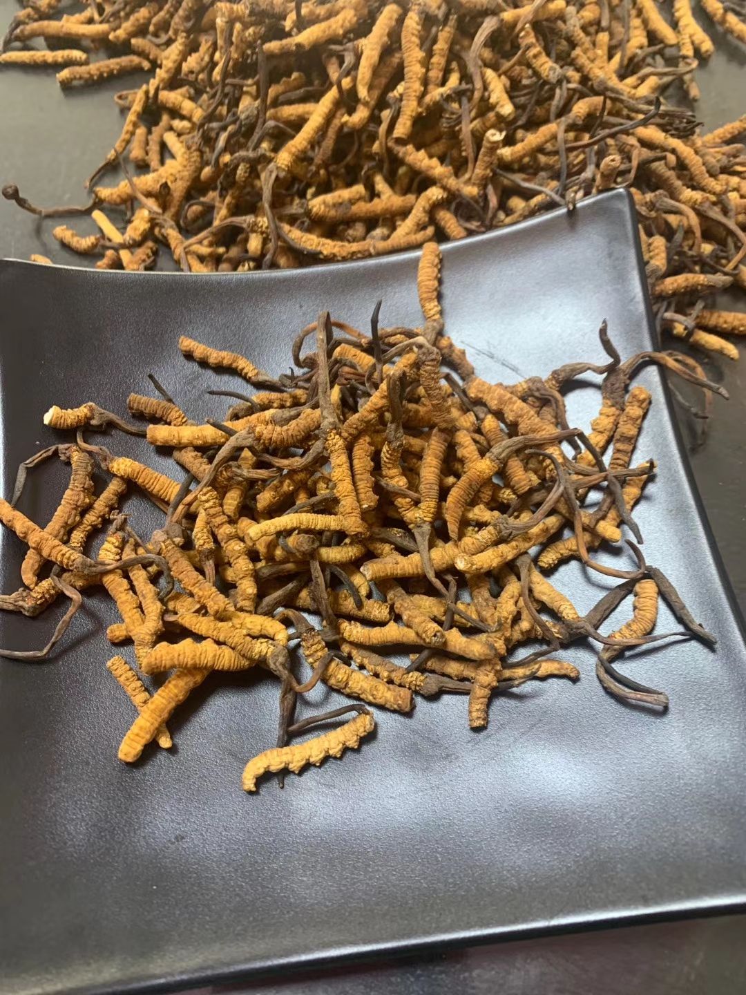 冬虫夏草  藏区优质足干断虫草 10g包邮 品质保证产地直发