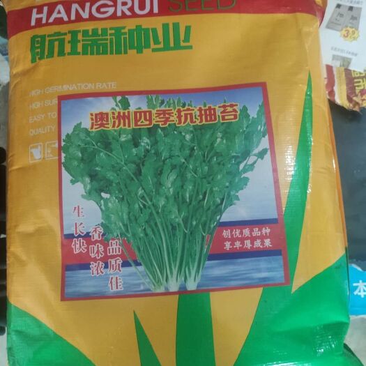 郑州 大叶香菜种子，澳洲四季可播生长快抗抽苔，抗病毒耐热耐湿