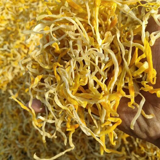 祁东县凉菜专用黄花菜    产地直销