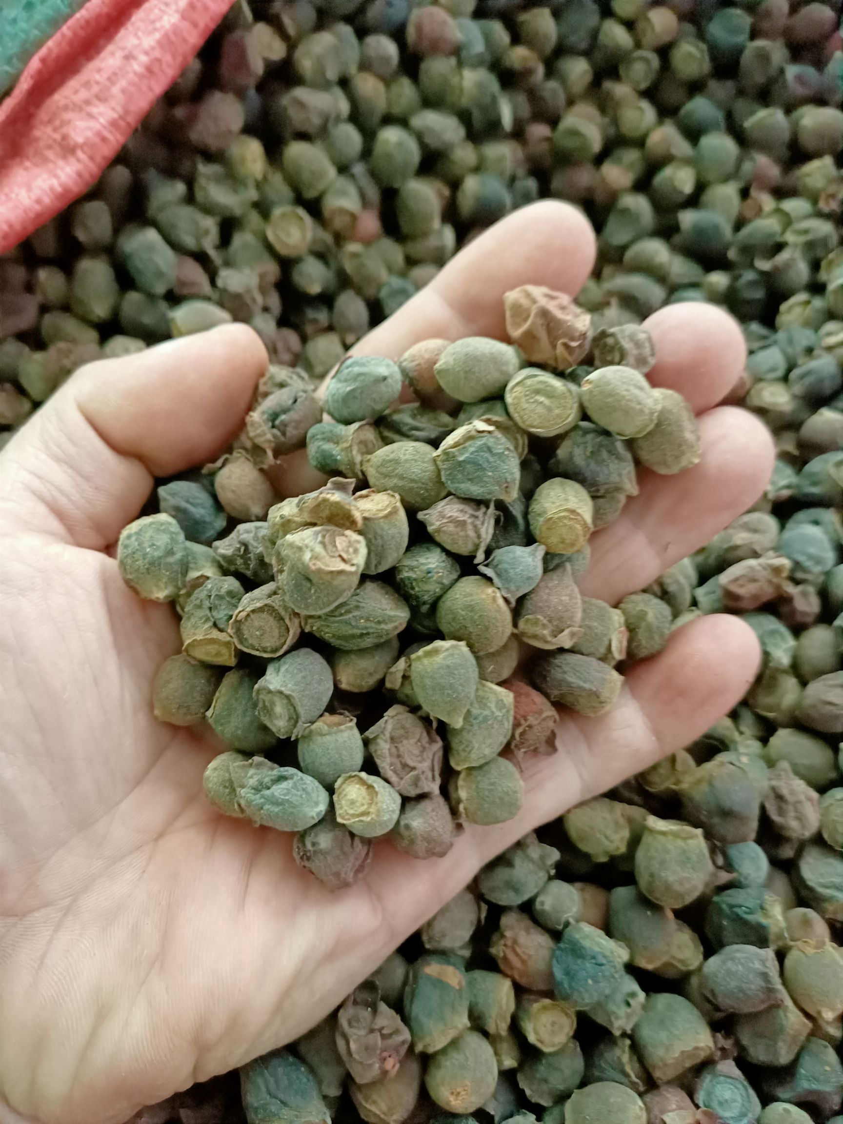  2斤装广西原生山捻子干山稔子干山棯子干泡酒桃金娘岗菍果多尼