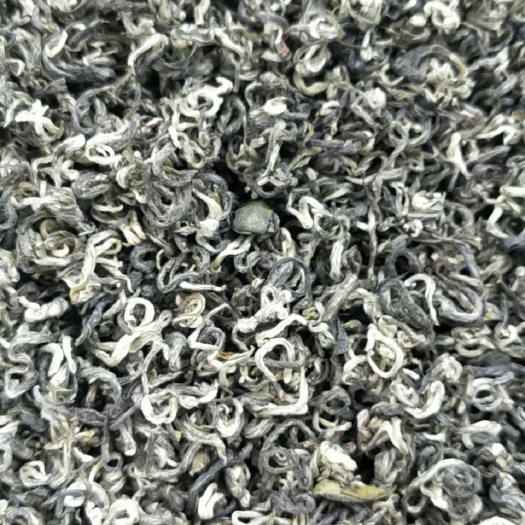 都匀市 贵州都匀中叶种芽叶绿茶