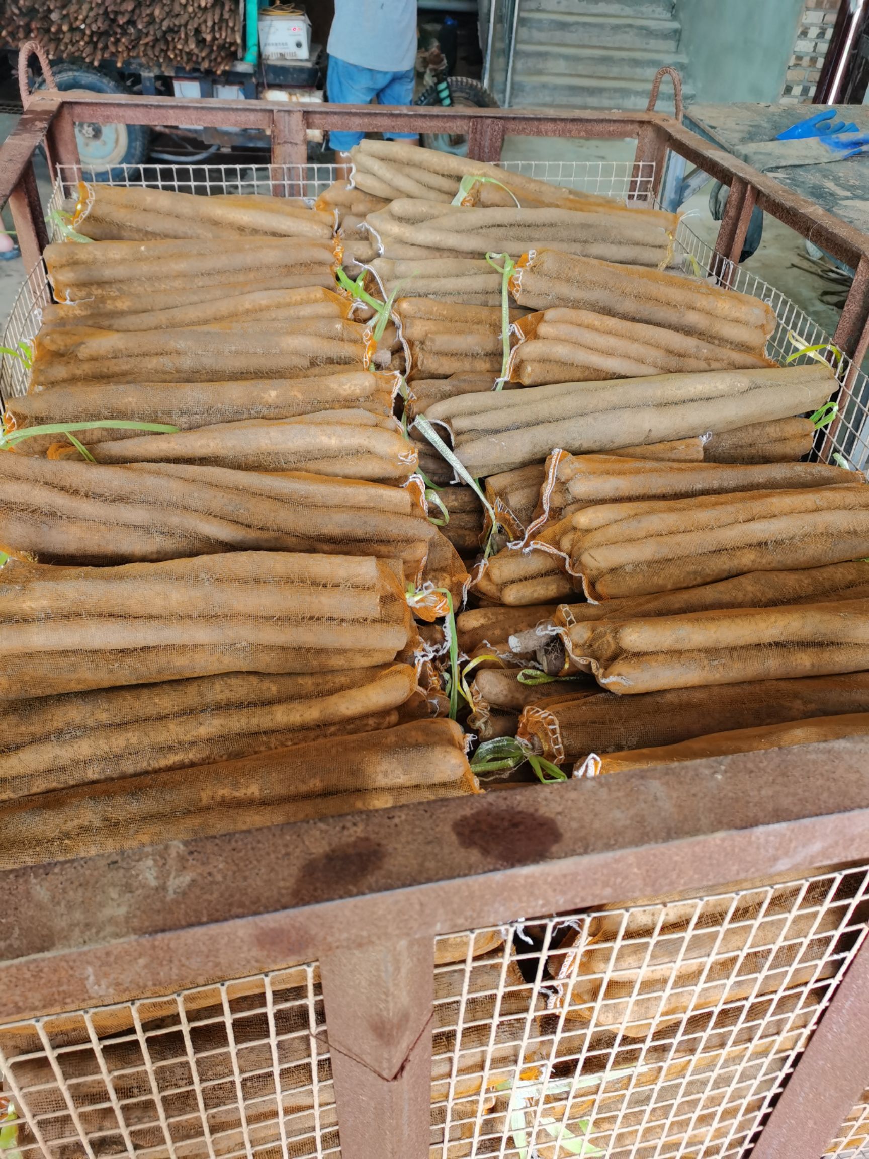 麻山药  淮山毛山药水洗网袋货大量供应千亩种植基地一手货源常年供应不断
