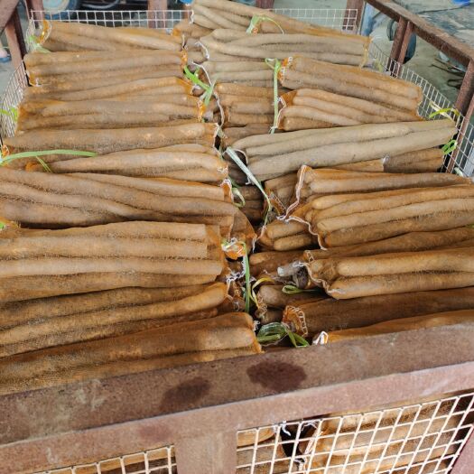 蠡县麻山药  淮山毛山药水洗网袋货大量供应千亩种植基地一手货源常年供应不断
