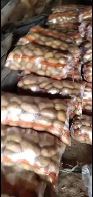 玉田县荷兰803 2两以上