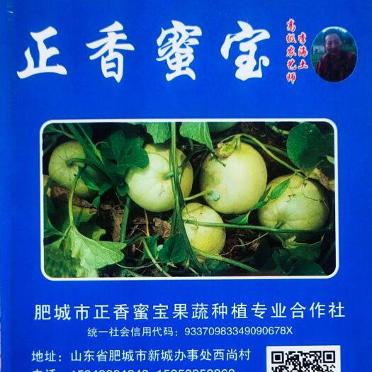 肥城市正香蜜宝甜瓜种子  迄今为止，尚未发现有比正香蜜宝甜瓜更香更甜的甜瓜