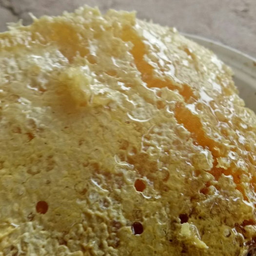 重庆市油菜蜜 正宗农家油菜花蜜物美价廉，欢迎各位品尝