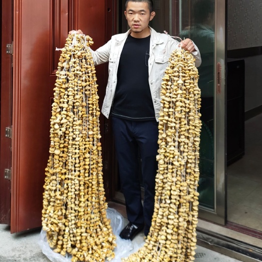 西宁青海祁连黄蘑菇钉子菇500克雪山黄蘑菇干货精品