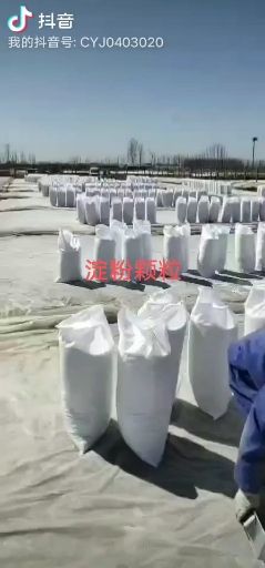 马铃薯淀粉颗粒 生粉