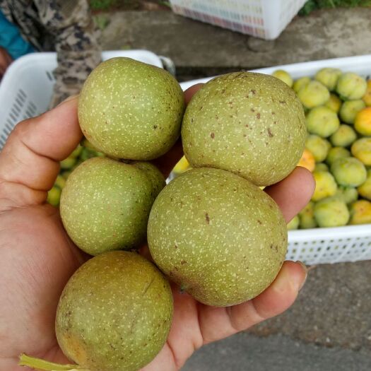 保山清香核桃  高海拔老树核桃清脆浓香
