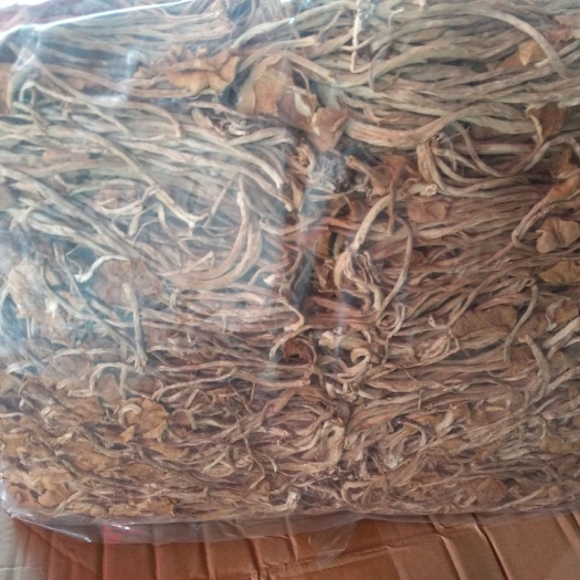 古田茶树菇 14~16cm 已开伞 干茶树菇