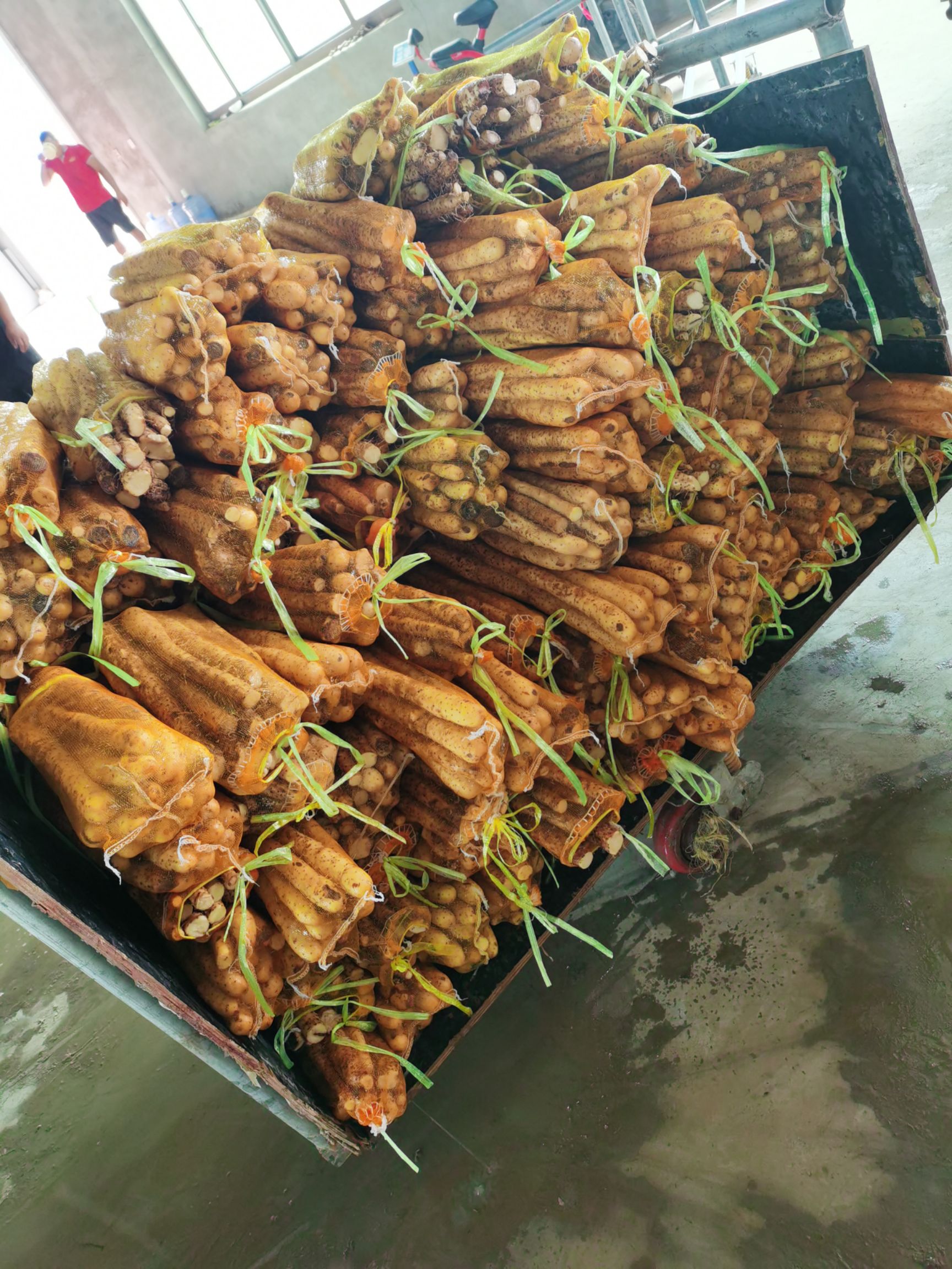 麻山药  淮山毛山药水洗网袋货大量供应千亩种植基地一手货源常年供应不断