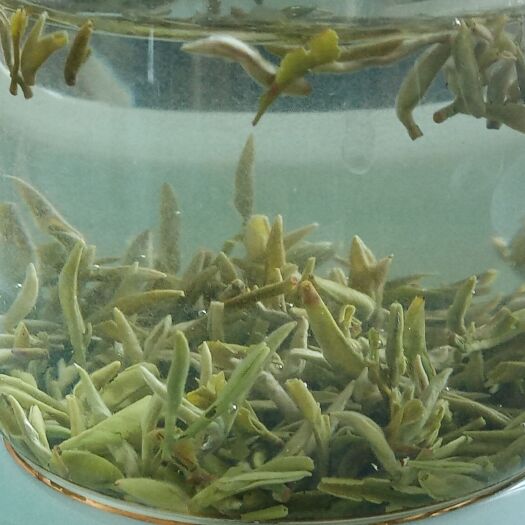 湄潭县湄潭翠芽 茶叶厂家，一件带发