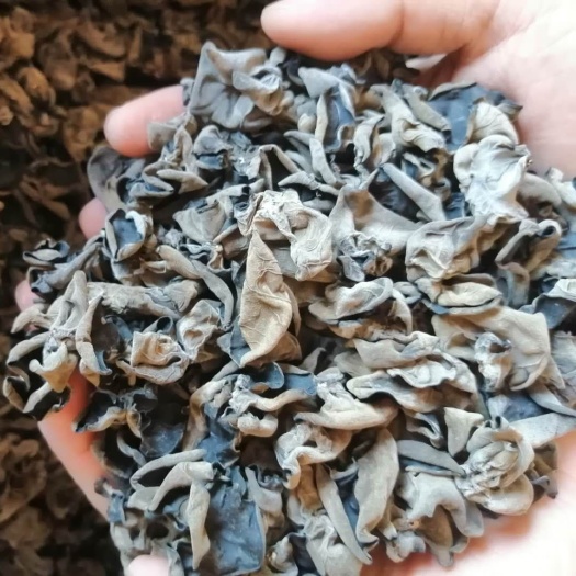 哈尔滨东宁黑木耳 干木耳 一级