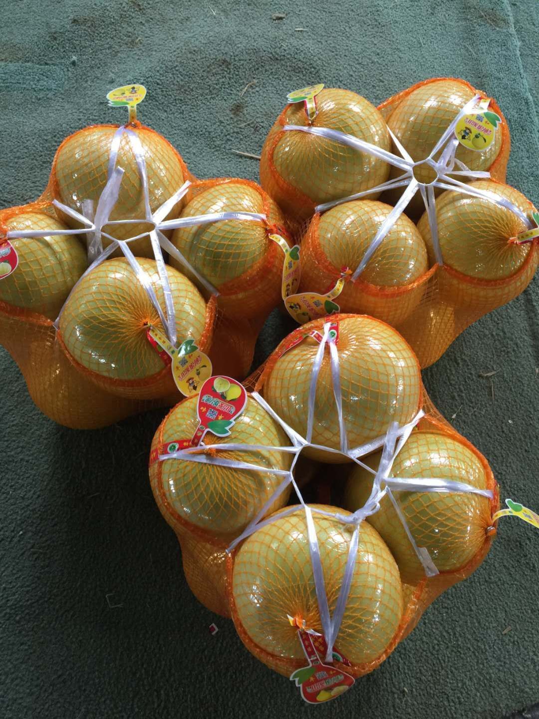  柚子 蜜柚 琯溪蜜柚 产地直销  诚信代办