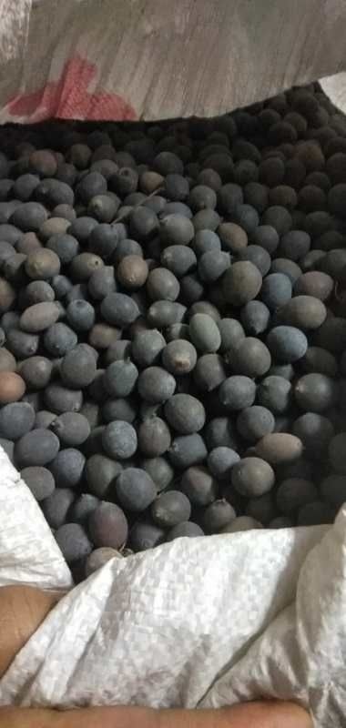 武汉青莲子 80% 1-2年