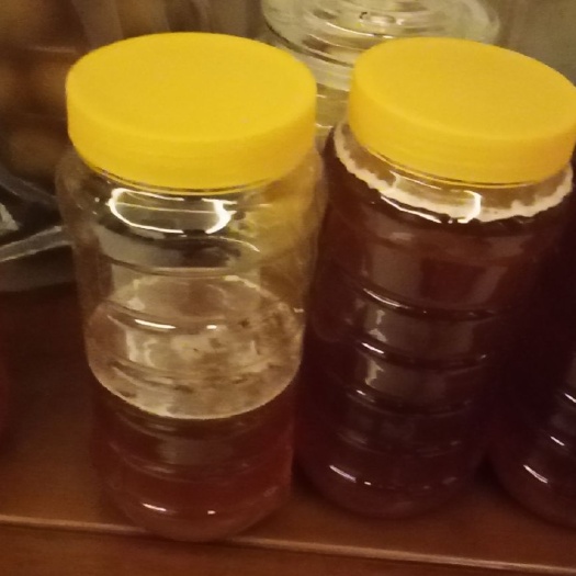 梧州野蜂蜜  狗牙木蜜（狗牙蜜）