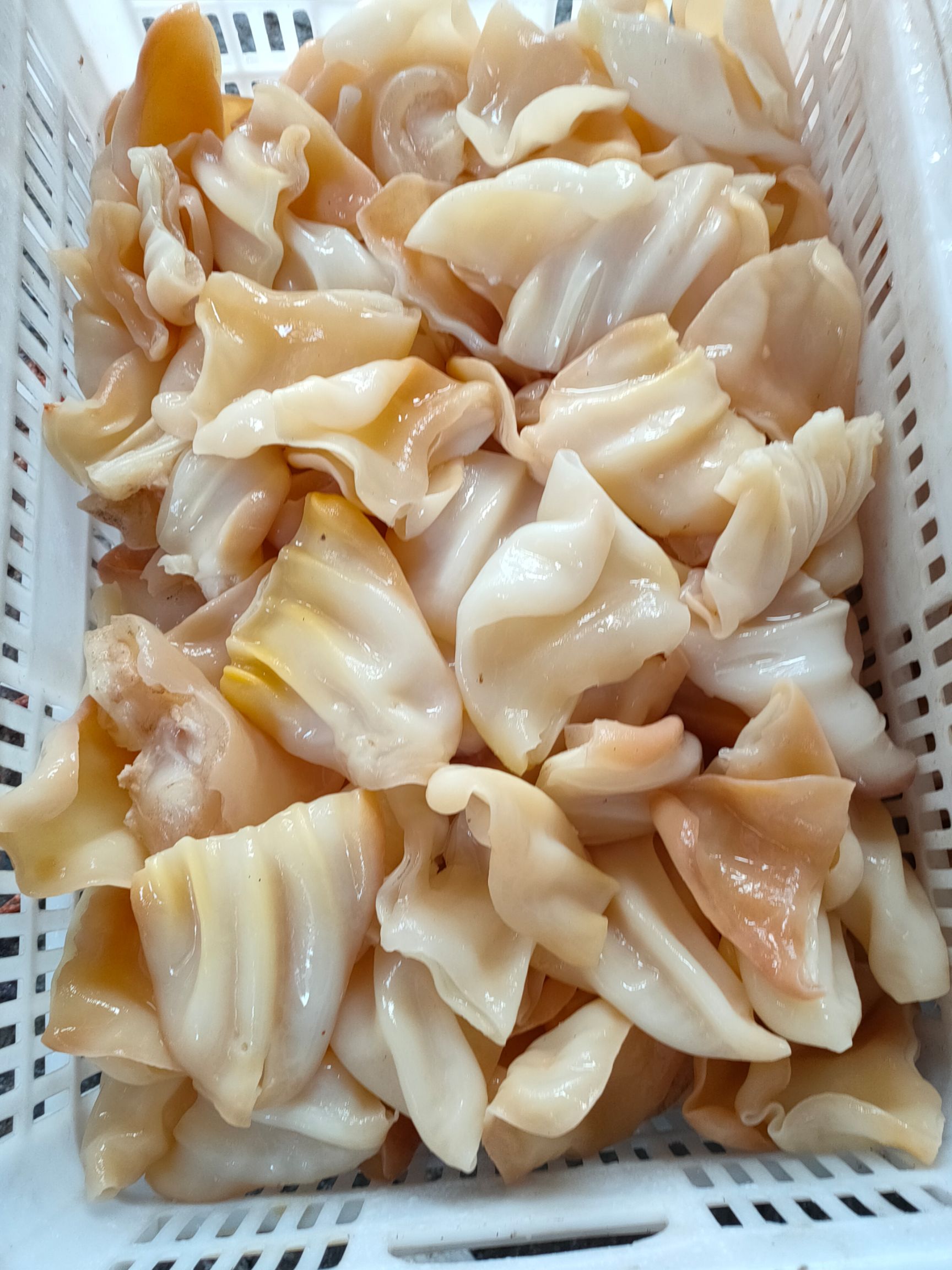 兆达畜产品公大量加工原色或酱色熟牛耳朵