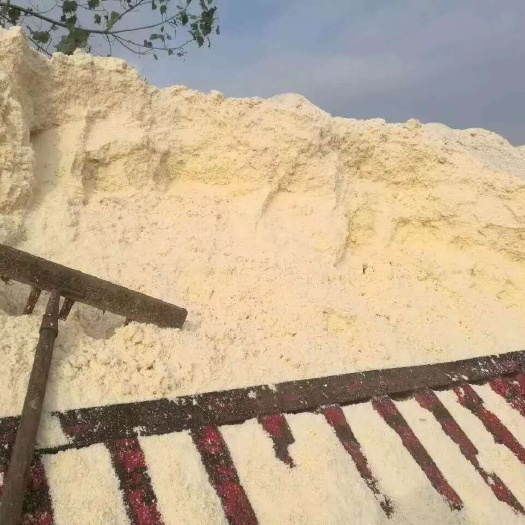 上海 新鲜豆渣含水份65左右蛋白16左右