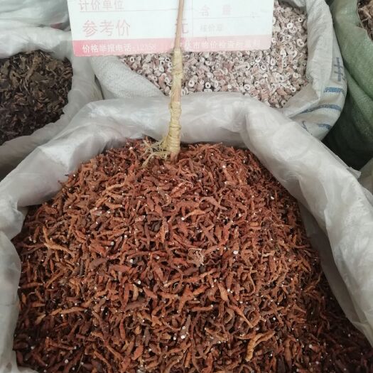 玉林中药材精选新货九节菖蒲原生节菖蒲正品小菖蒲无硫