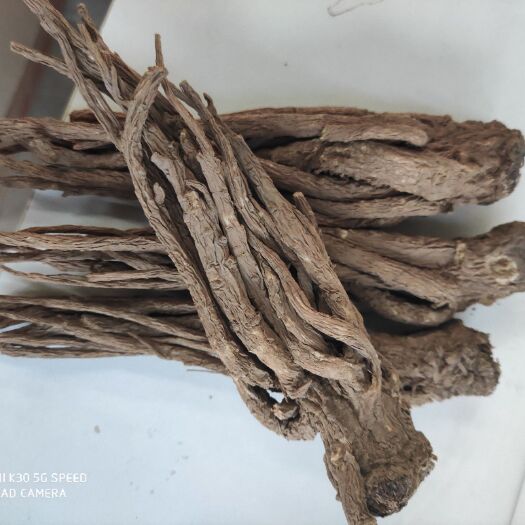 渭源县岷当归 无硫 全归 大货