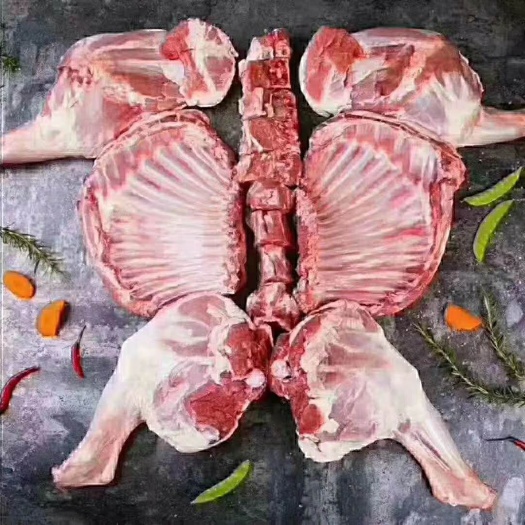 凉城县 内蒙古大草原羊肉