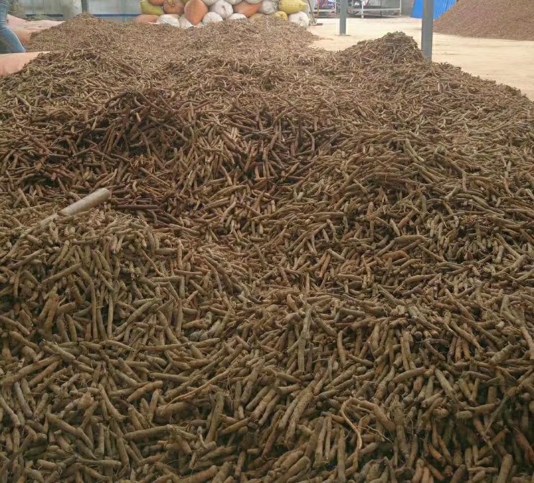 仙茅 品质好，量大，需要的老板欢迎联系我