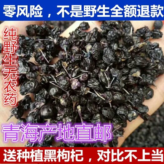 青海柴达木产新优选颗粒 非种植黑枸杞 500g包邮 泡茶代饮