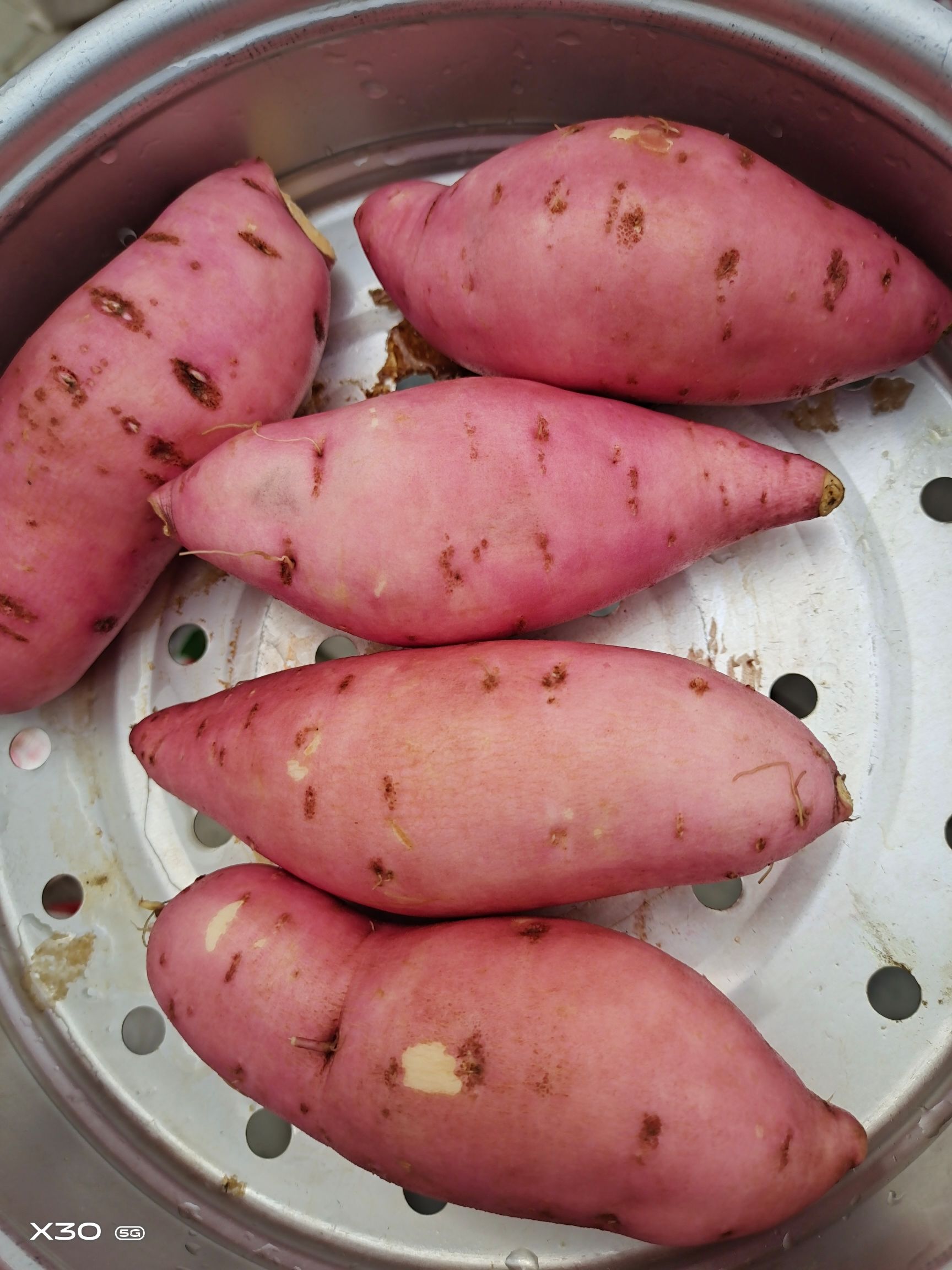  红薯，紫薯，龙薯9号