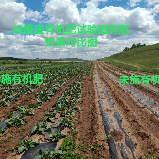 正蓝旗内蒙古正蓝旗绿康盛有机肥  纯羊粪有机肥