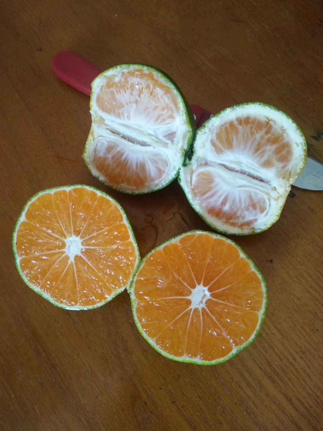 柑桔  优质东江湖蜜橘