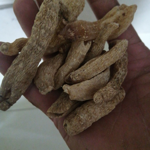 霍山县无硫小个天麻 ，