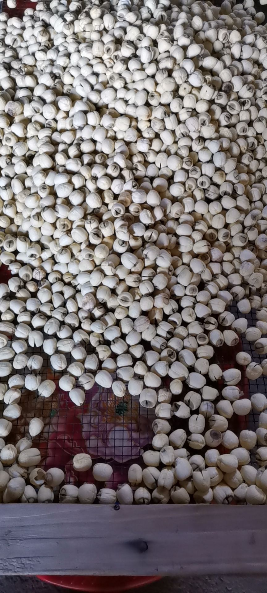  自己种的莲子，纯手工制作，真正的绿色食品