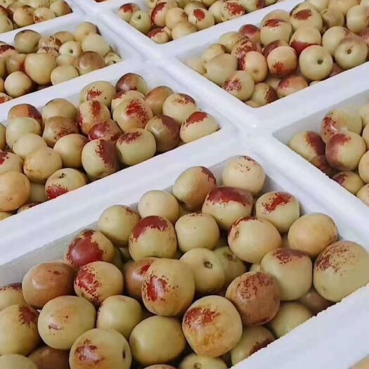 大荔县 陕西大荔冬枣一件代发