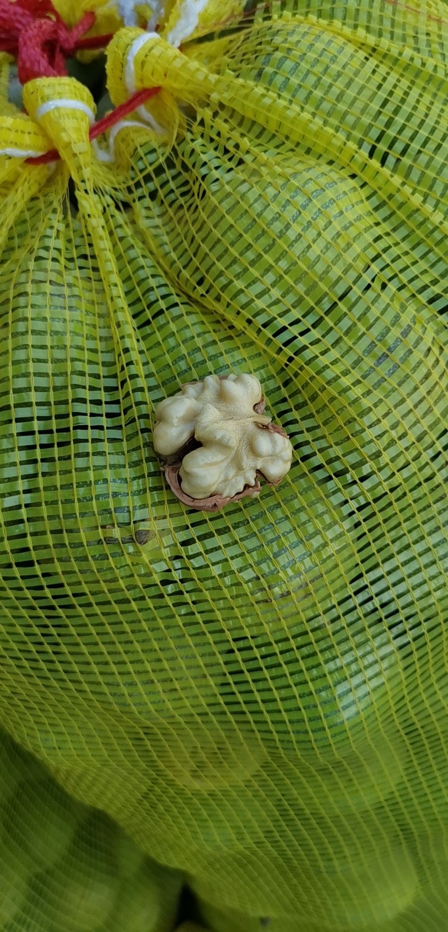 品预购，青皮核桃，鲜核桃