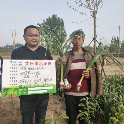 郑州复合肥 控释肥  大蒜控旺高产专用