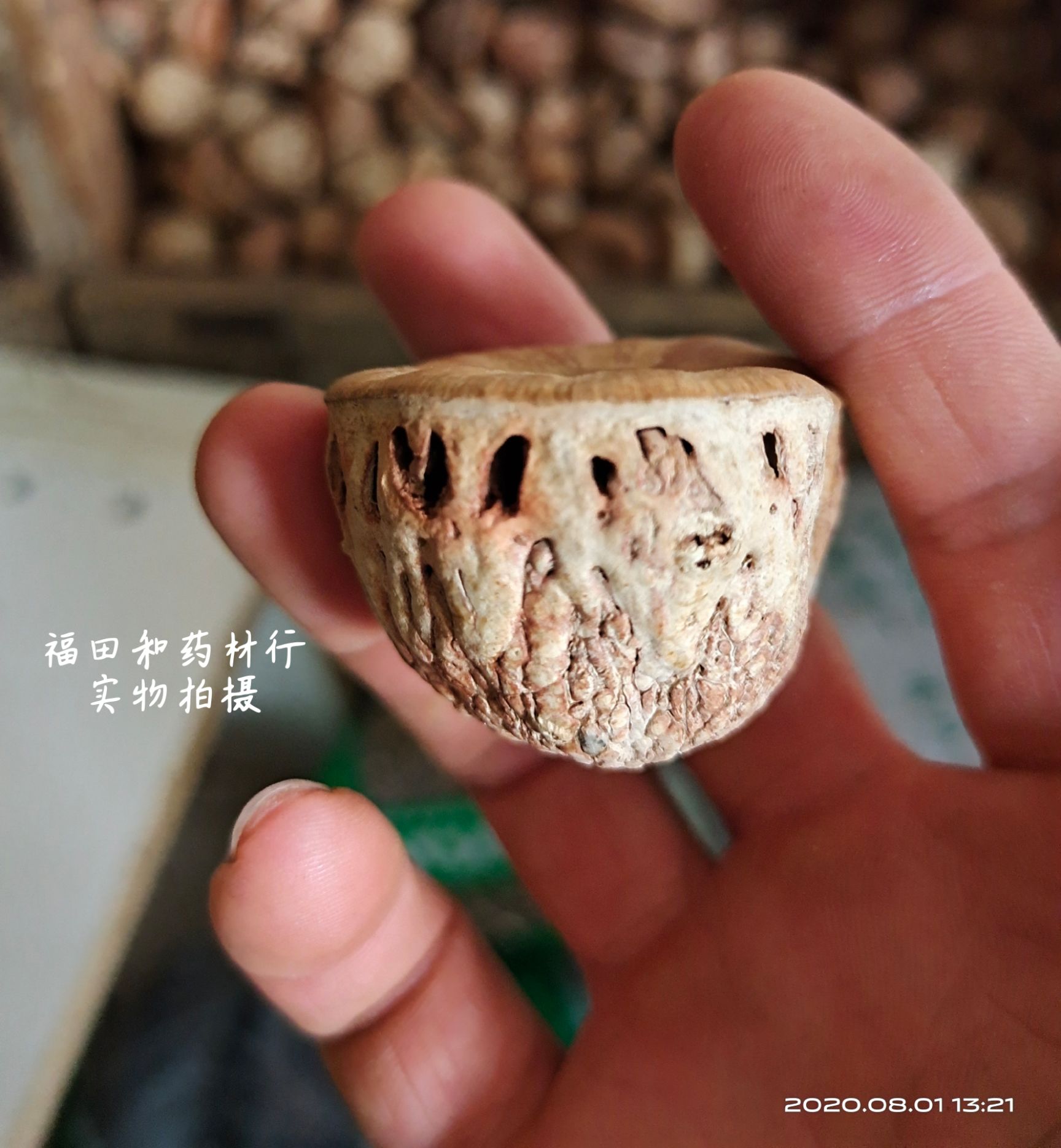 中药材风流果 厚鳞柯 z阳果 b肾果 益肾子 500g包邮