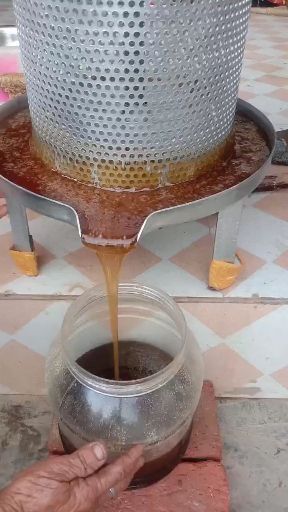 椴树蜜  野蜂蜜，天然蜂蜜，任何东西在里面