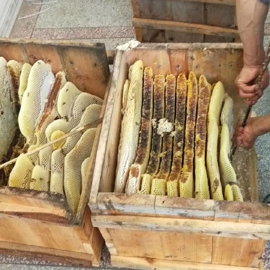 岚皋县 天然无公害蜂蜜。