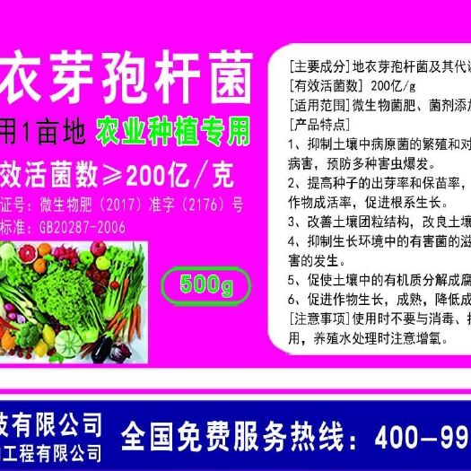 邯郸地衣芽孢杆菌杆菌，抗病抗重茬，提高氮磷钾吸收，促进根系发达
