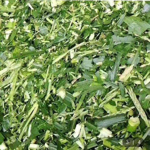 乐陵市秸秆类饲料 玉米秸秆和麦秸
