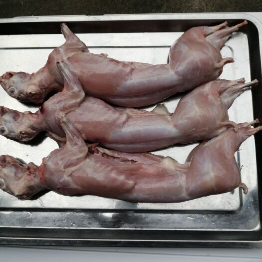 太和县兔肉类  新鲜兔肉