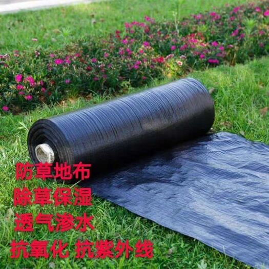 德州 拒绝化学除草 防草布铺设简单  使用寿命长