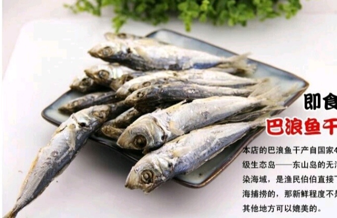 东山县 福建东山巴浪鱼干  水产巴浪鱼干