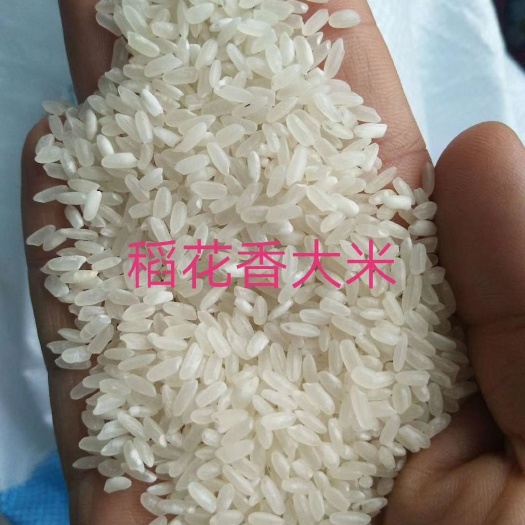 五常市黄花粘大米 黑龙江省五常市，各种高中低端米