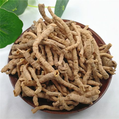 远志  山西 干货 小选  抽芯 无硫熏  实物拍摄  包邮
