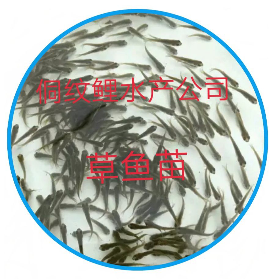 山地 田地 水塘 菜地