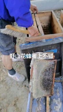 广水市百花蜜  百花成熟蜜42度