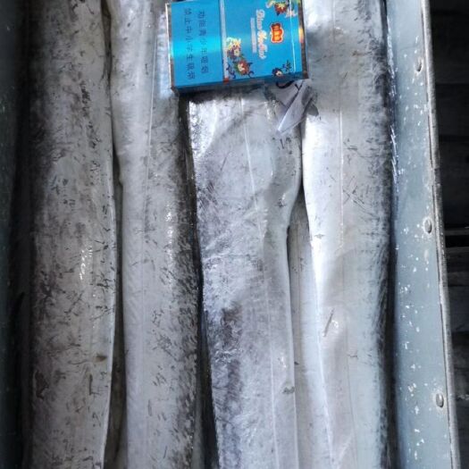 宁波 东海舟山带鱼礼品盒小包装，厂家直销，量大从优